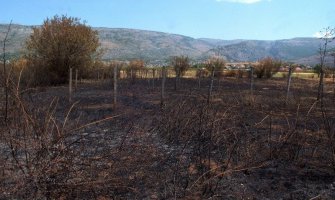  U požarima nestaju hercegovački vinogradi i voćnjaci