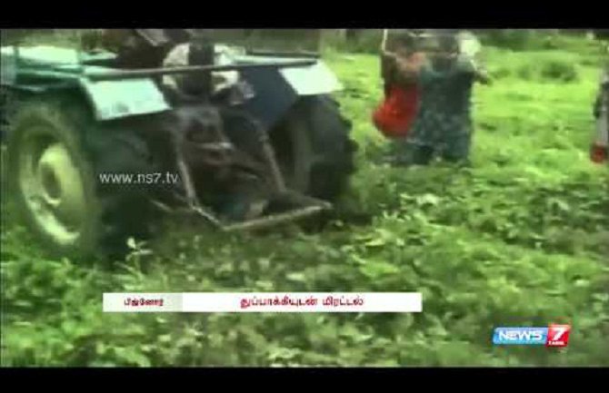  Sa pištoljem za pojasom traktorom pregazila hrišćanku  (Video)