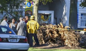 SAD: Bor pao na djecu u ljetnjem kampu, osmoro povrijeđeno