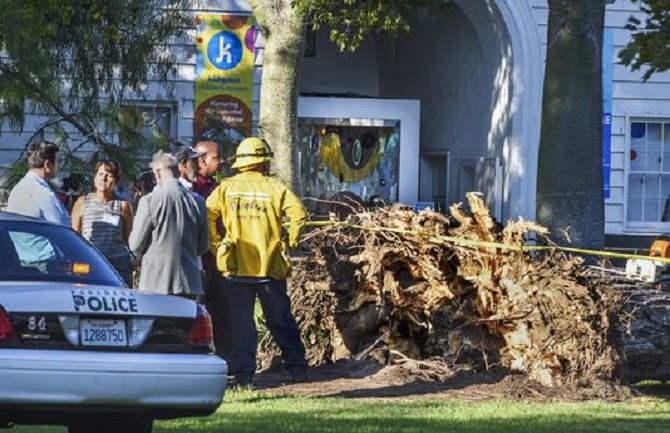 SAD: Bor pao na djecu u ljetnjem kampu, osmoro povrijeđeno