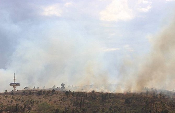 Lokalizovan požar na Dajbabskoj gori, mještani odbranili kuće