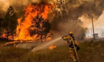  Katastrofalni šumski požar uništio trećinu australijskog mjestašca 