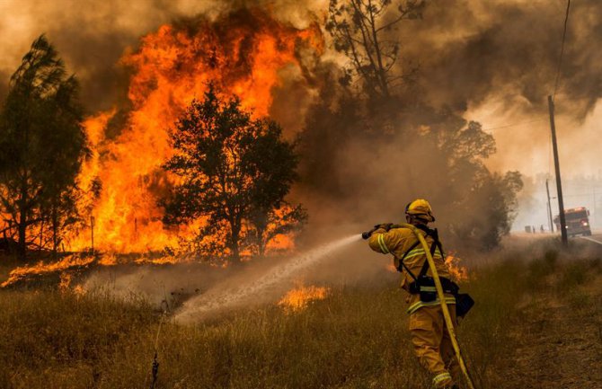  Katastrofalni šumski požar uništio trećinu australijskog mjestašca 