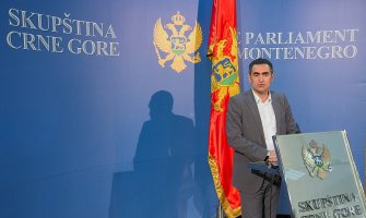 Damjanović: Vlada nonšalantno planira dalje zaduživanje države