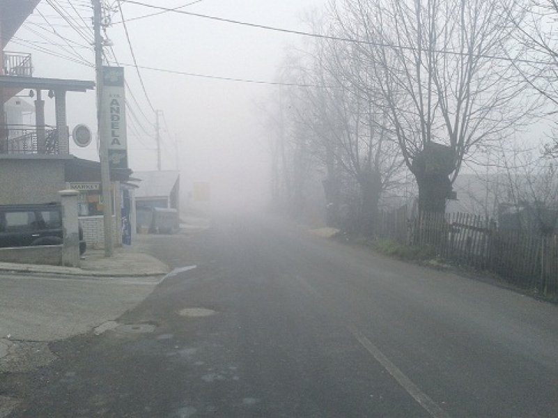 cc19f50b49ac2800cea9f18ff7f53080