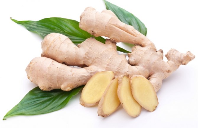 Đumbir najmoćnija biljka: Jači od bilo kojeg lijeka!