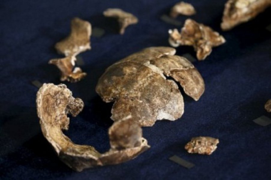 665157homonaledi03fotoreutersff