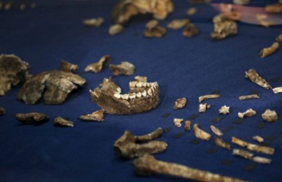 665156homonaledi02fotoreutersff