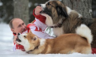 Motivacione fotografije Vladimira Putina 