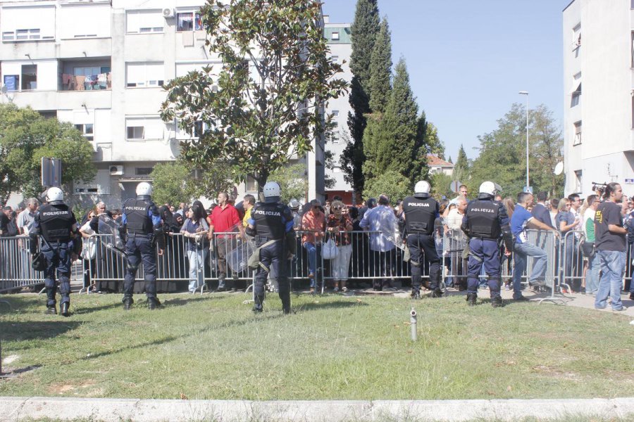 aapicture201509146285659web