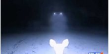 Kamera postavljena u šumi snimila vanzemaljce? (VIDEO)
