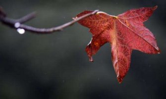 Krajem dana kiša, do 19 stepeni