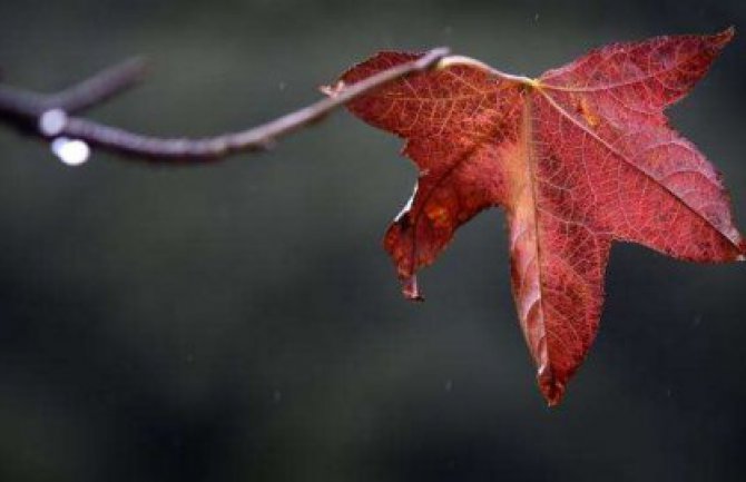 Krajem dana kiša, do 19 stepeni
