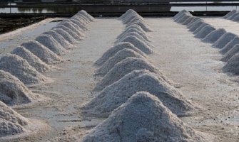 Zalihe soli iz 2013. na prodaju