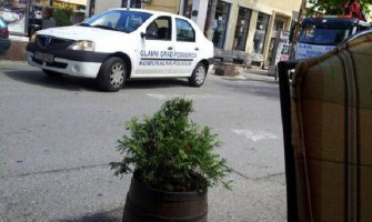 Donešen pravilnik o ovlašćenjima za inspektore Komunalne policije