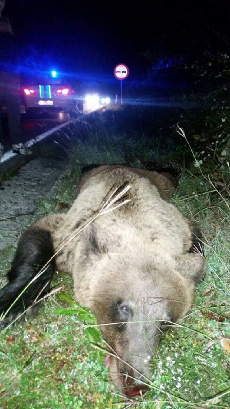 562774b98d044f48a5134ddab0765237m2previewOrg