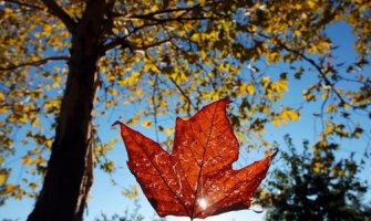 Sunčano, do 32 stepena