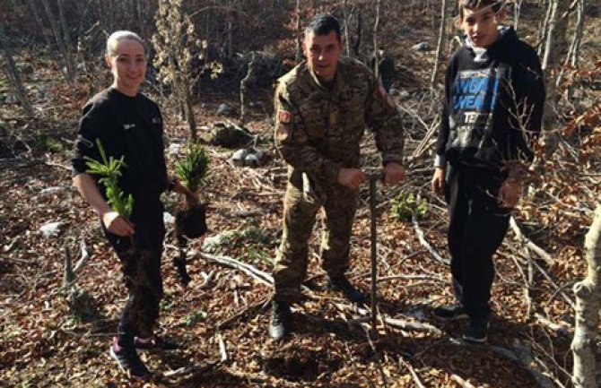 Vojnici sadili smrču i crni bor u Nikšićkoj župi (FOTO)