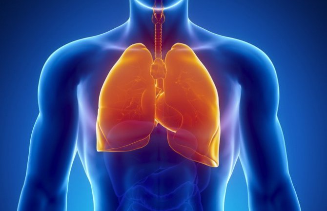 Za samo tri dana očistite pluća od raznih otrova