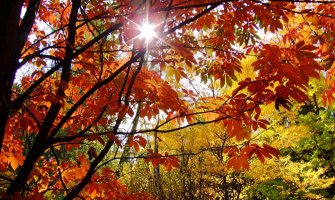 I danas sunčano, do 25 stepeni