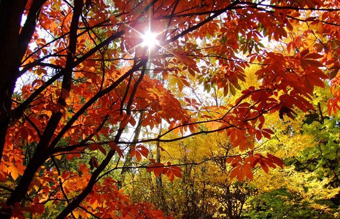 I danas sunčano, do 25 stepeni