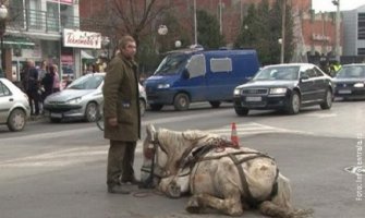 Šest mjeseci zatvora zbog prebijanja konja