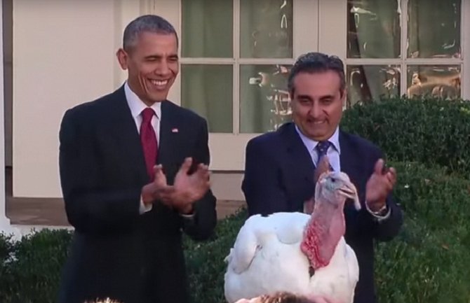 Obama pomilovao dvije ćurke