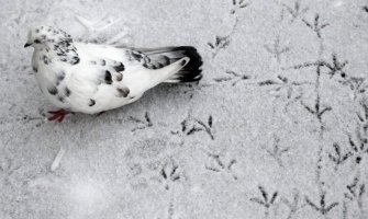 Evo kakvo nas vrijeme očekuje do utorka