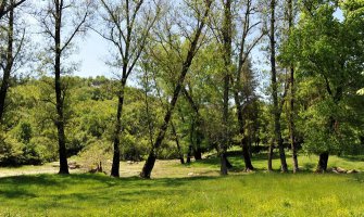 Društvo mladih ekologa Nikšić: Staviti pod zaštitom lokalite Blace i Studenačke glavice