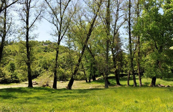 Društvo mladih ekologa Nikšić: Staviti pod zaštitom lokalite Blace i Studenačke glavice