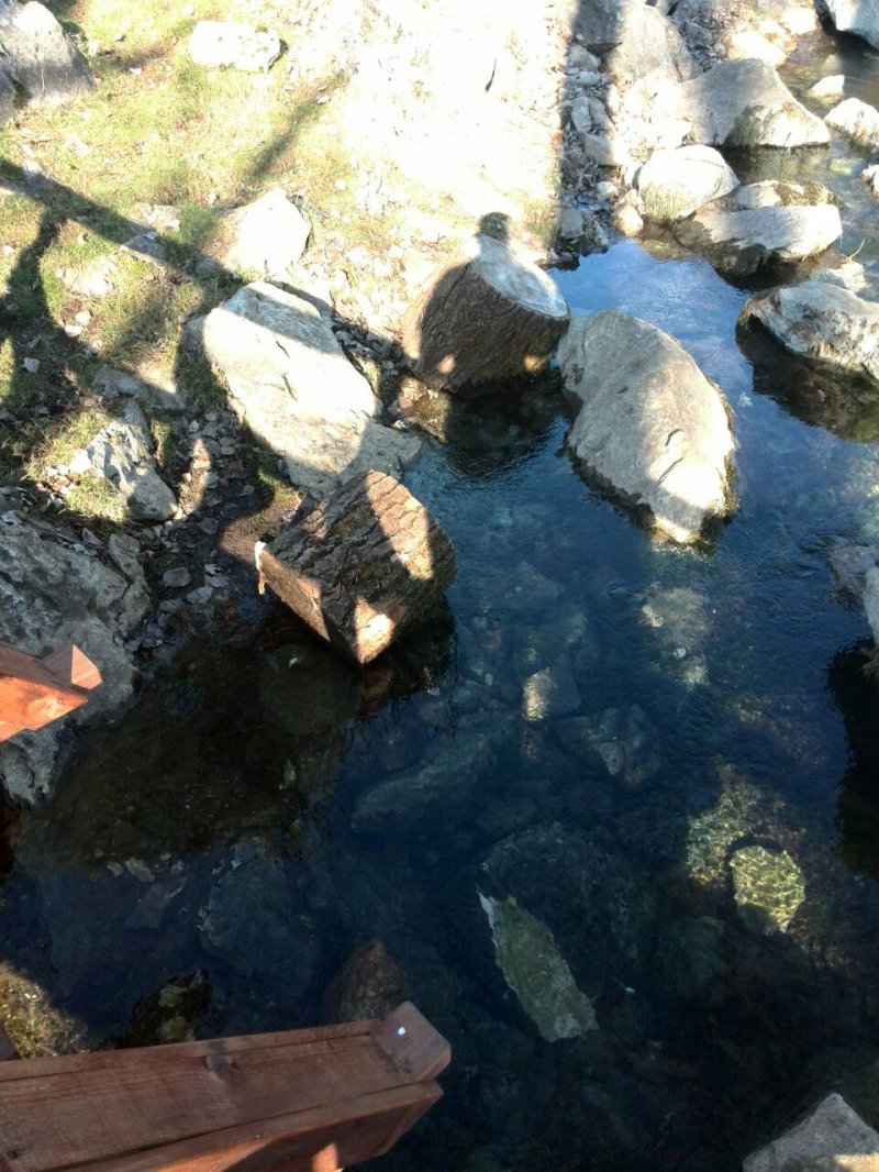 imagec5e1ac38d5a9e3933b22227ae704f747cb6ed74701c548ef2b985ca54f9d150fV