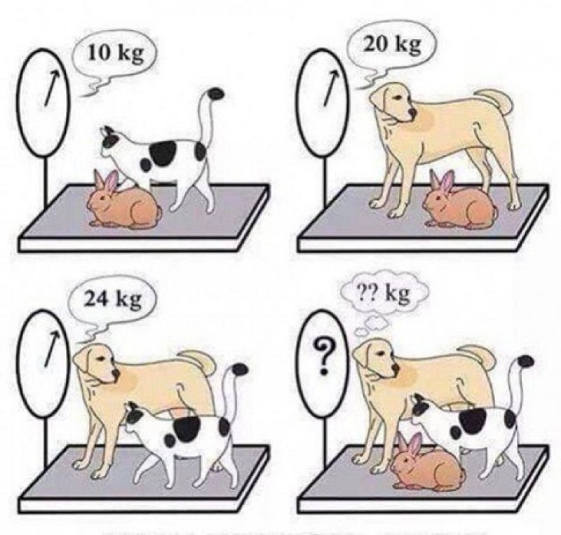 1892610382566c38db81750663451483v4big