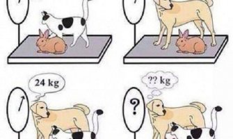 Možete li da riješite ovu mozgalicu? (Foto)