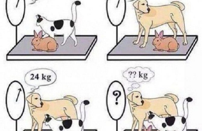 Možete li da riješite ovu mozgalicu? (Foto)