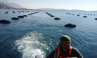 Crna Gora ispunila uslove za otvaranje pregovora u oblasti ribarstva