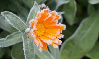 Pretežno sunčano, do 15 stepeni