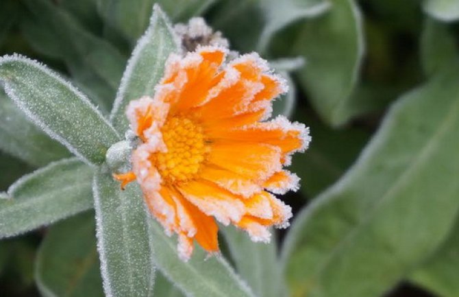 Pretežno sunčano, do 15 stepeni