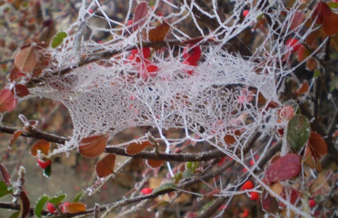 Evo kakvo nas vrijeme očekuje u poslednjim danima 2015.