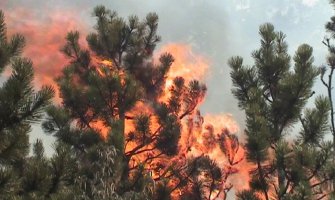 Požar u Kakarickoj gori prijeti da ugrozi obližnje kuće