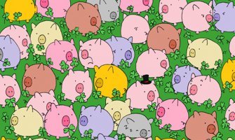 Možete li da pronađete djetelinu sa 4 lista?