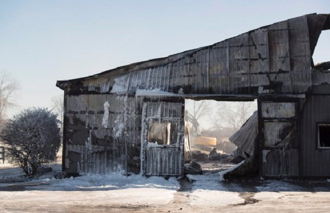 Više od 40 konja stradalo u požaru