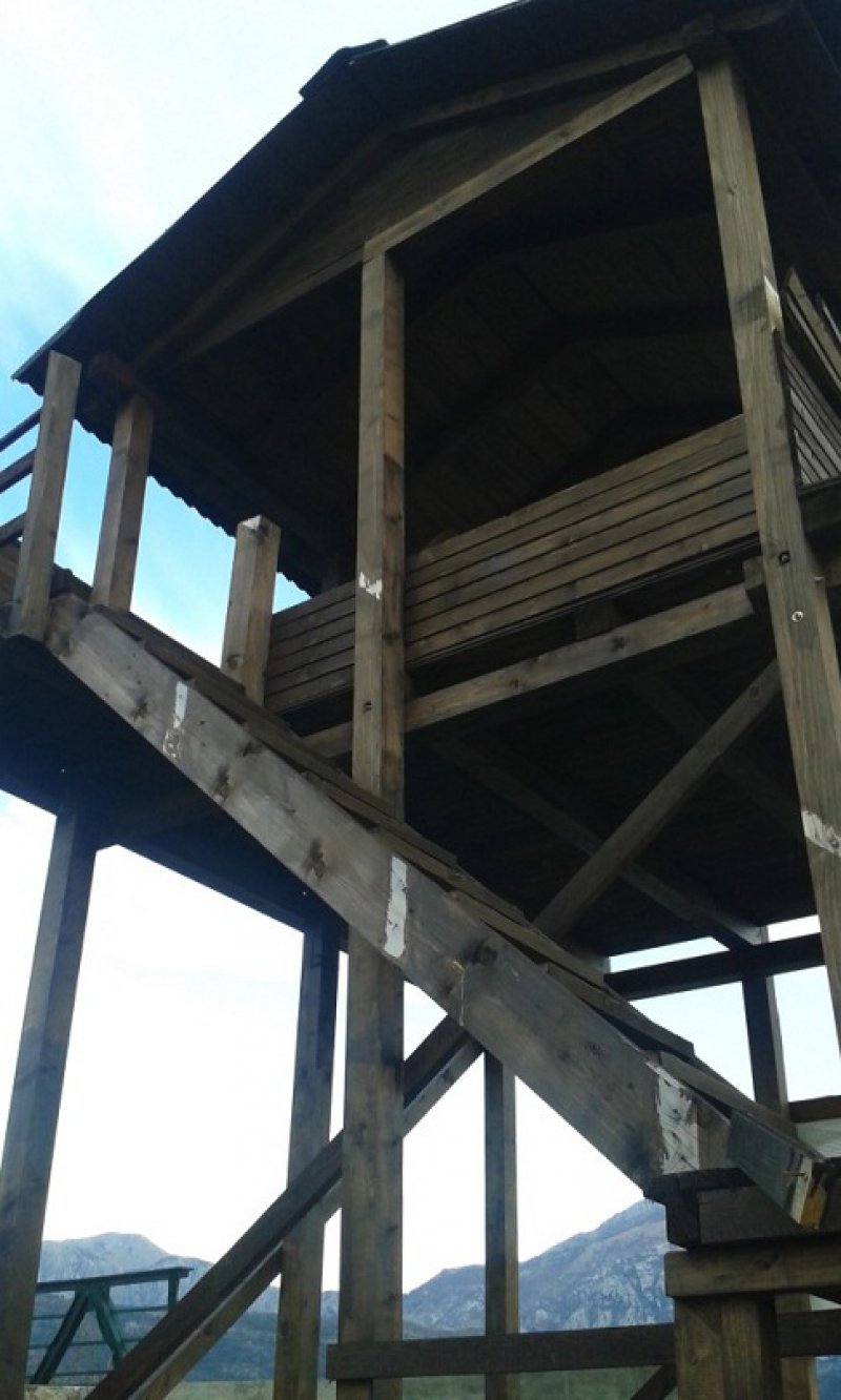 ostecenaosmatracnica2