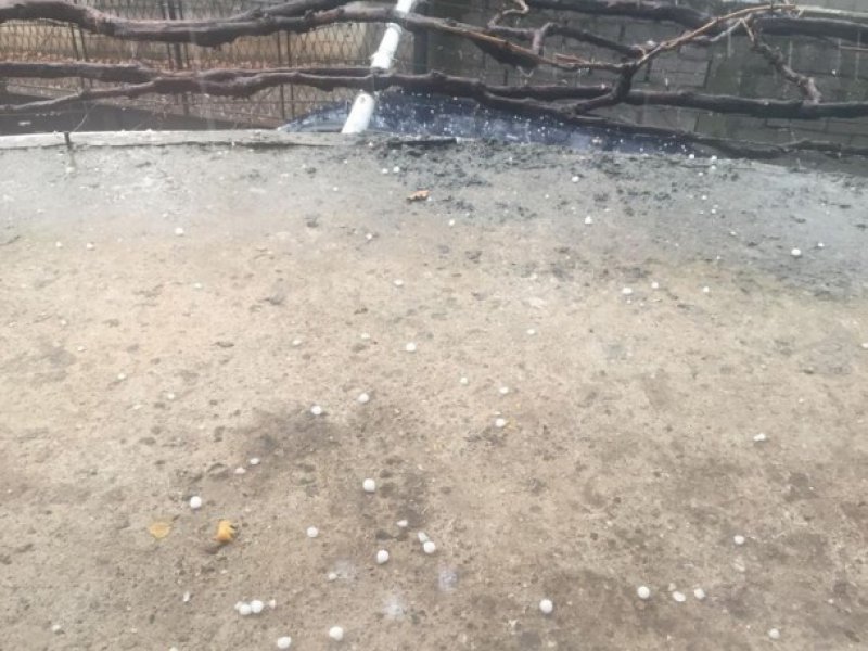 1251188810205724318016273569957346n