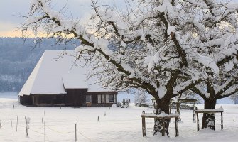 Evo kakvo vas vrijeme očekuje danas i sjutra
