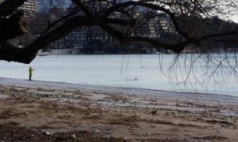 Januarsko kupanje u Budvi