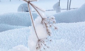 Danas hladno sa vjetrom, do 10 stepeni