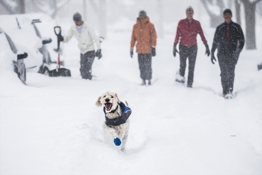 201601242139489534848815Web