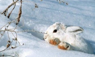 Danas sunčano,  do 13 stepeni