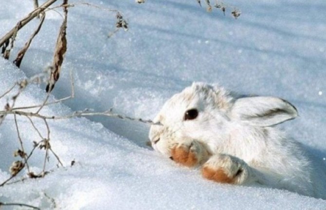 Danas sunčano,  do 13 stepeni