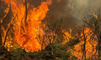  Požar u nacionalnom parku se širi
